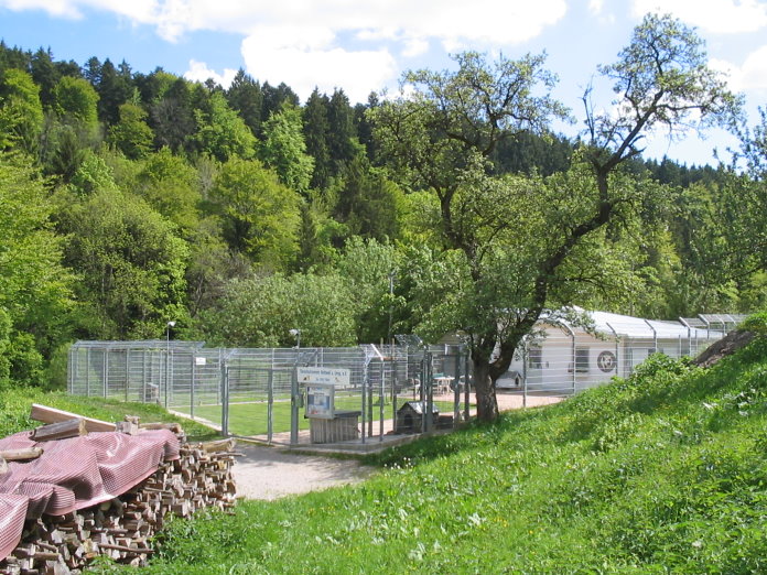 Ansichten RegionRottweil 20160526-155900A-stetz Eckhof Tierauffangstelle Mai2005 Tierauffangstelle 24.05.2005 03.jpg