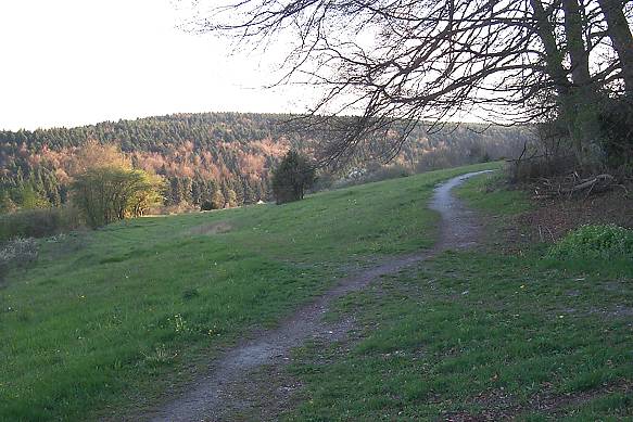 Datei:Ansichten RegionRottweil 20160526-155900A-stetz Betlinsbad Waldsportpfad Waldsportpfad 29.04.2002 05.jpg