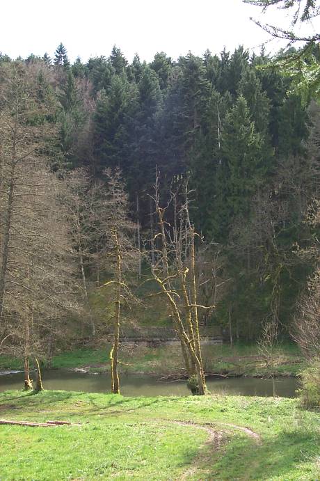 Ansichten RegionRottweil 20160526-155900A-stetz Straubeleswaldquelle Staubeleswaldquelle 28.04.2001 03.jpg