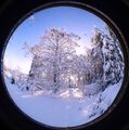 Winterwunderwelt53.jpg