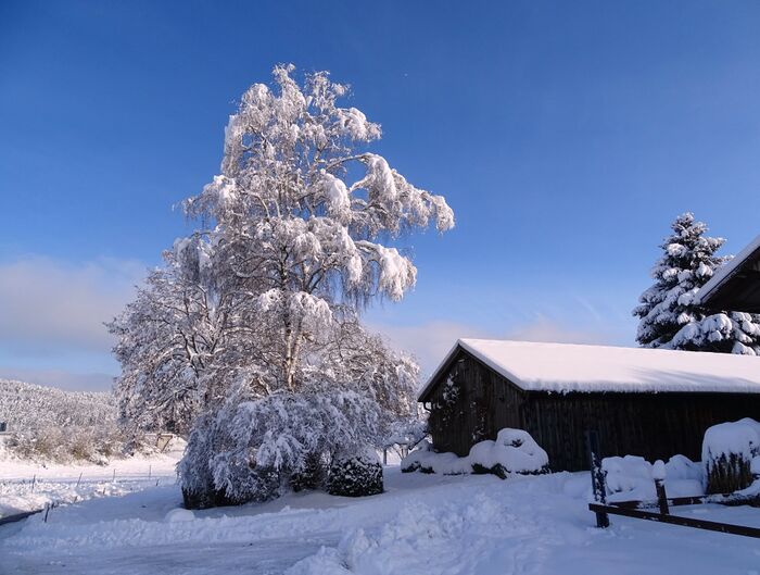 Winterwunderwelt59.jpg