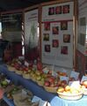 506 Verschiedene Apfelsorten werden ausgestellt im Sept. 2011.JPG