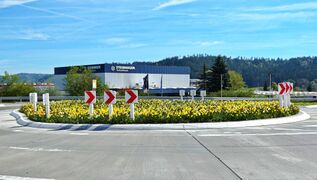 Blühende Kreisverkehre 2023-3.JPG