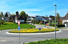 Blühende Kreisverkehre 2023-5.JPG