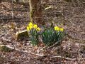 Frühling in RW2021-3.jpg