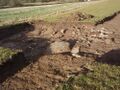 Römische Ausgrabungen (3).JPG