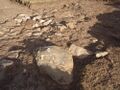 Römische Ausgrabungen (4).JPG