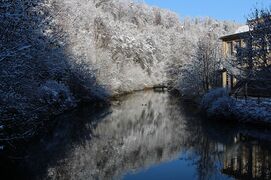 Schnee im Neckartal 2023-4.JPG