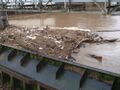 Neckarhochwasser am Stauwehr bei den Stadtwerken am 22. Januar 2012