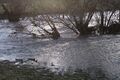 Hochwasserlage am Neckar am 05.01.2018 , Copyright: Heinz Zimmermann