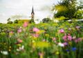 Schönes Blumenfeld in einer Umlandgemeinde Juli 2018, Copyright: W. Schwenk