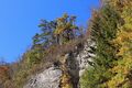Herbstspaziergang im Neckartal Richtung Pulverloch 14.10.2018, Copyright: Heinz Zimmermann