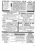 Werbeanzeigen 1928-.jpg