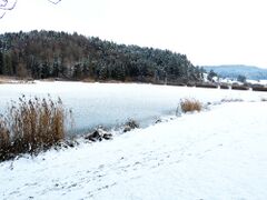 Winter in Rottweil 2022-19.JPG