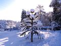 Winterwunderwelt51.jpg